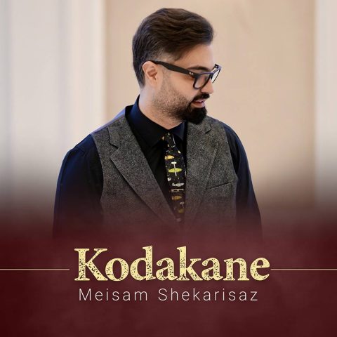 آهنگ کودکانه میثم شکری ساز