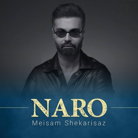 آهنگ نرو میثم شکری ساز