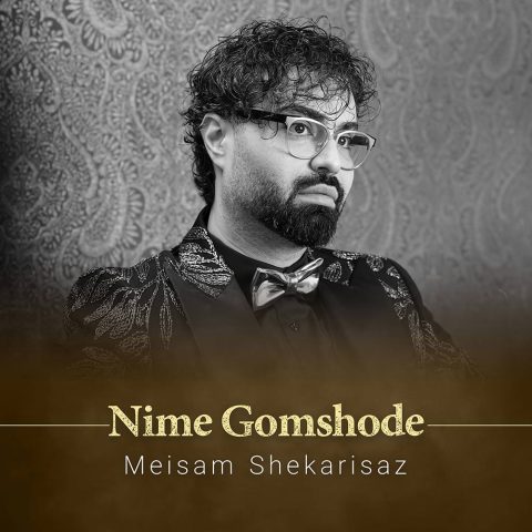 آهنگ نیمه گمشده میثم شکری ساز